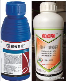 乙烯利怎么用效果佳？果农分享的实用方法