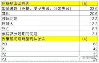 后备猪选育关键期