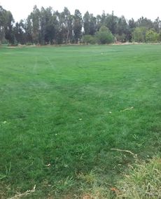 草坪修剪， 关键kan高度