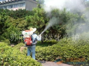 苏州绿化工人培训机会探秘