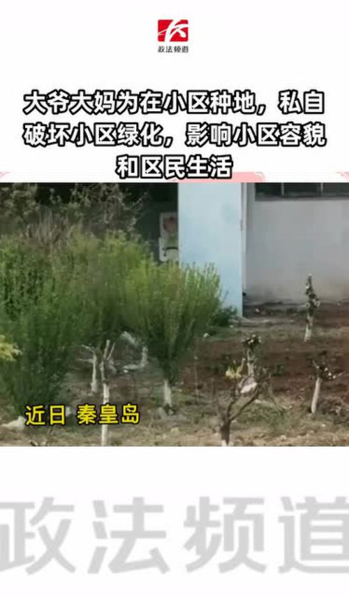 破坏绿化，律法责任重