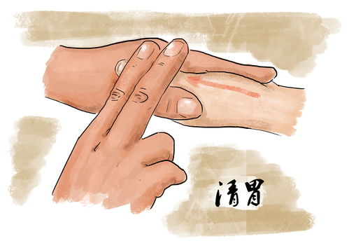 柿蒂：收敛止吐