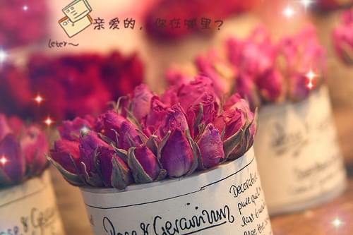 黄玫瑰：爱情与嫉妒