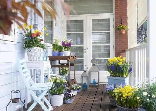 自制驱虫剂，环保又有趣