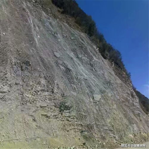 快速生长植物，防范山体滑坡