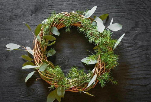 植物的文化价值体现在哪些方面？