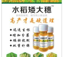 亚磷酸钾的控旺效果