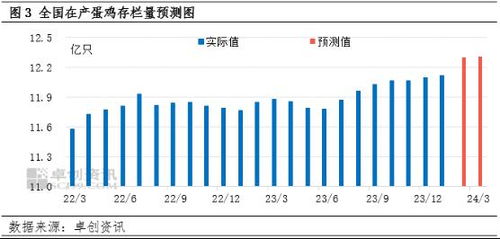 近期蛋价上涨，市场分析认为短期仍有上涨空间