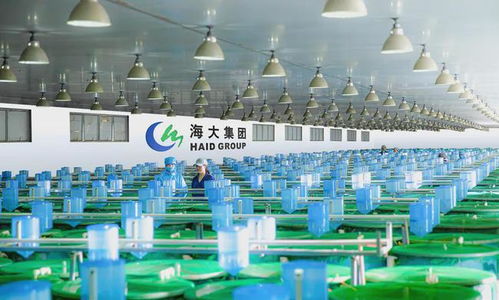 广东大型饲料养殖企业排名中，哪家饲料厂家在2023年的排名中位列前茅？