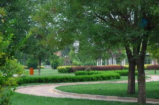 生态与人文的交融