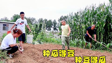 种植方法与经验分享