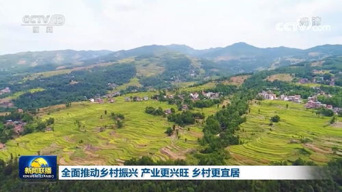 万荣县积极发展香菇产业，助力乡村振兴