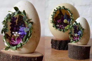 鸡蛋壳的营养成分：植物的福音