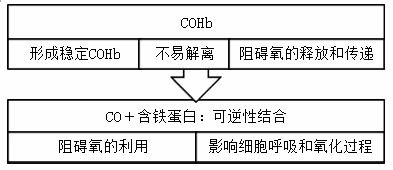 阿托品：神奇的解毒剂