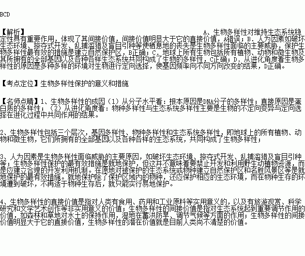 文化与精神价值的丧失