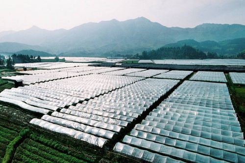 市场需求， 潜力无限