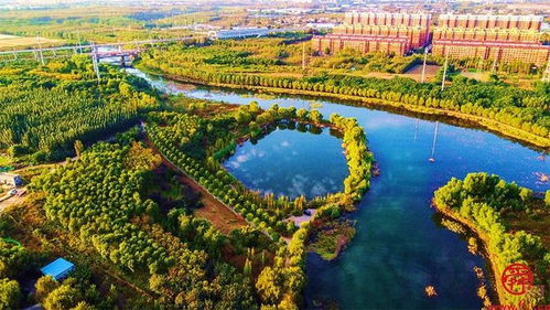 可持续发展的智慧