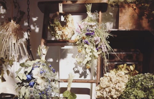 常温压制法， 保持花朵原色