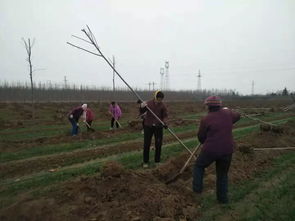 监测体系要健全， 就像医生体检一样