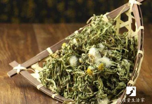 长期喝干蒲公英水好吗？它的好处和坏处你了解吗