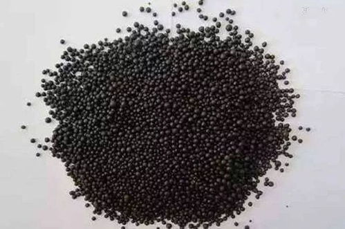 铁树施肥小攻略：尿素配比大揭秘