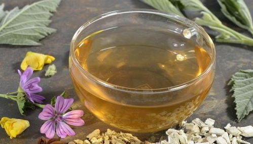 菊花甘草泡水喝，清热解毒