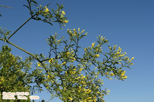 插活不是玄学，是给生命第二次机会