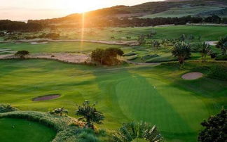 常见高尔夫球场草坪草种及其特点