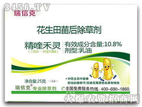 花生不同生长阶段与除草剂影响