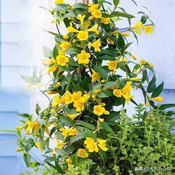 创造理想生长环境