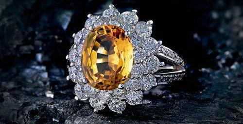 月季花的孕育与呵护