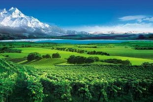 人类与自然的和谐共舞