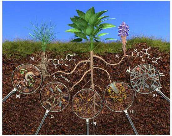 土壤酸碱度，怎么调节呢？