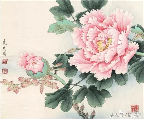 牡丹画法教程哪里找？一招教你轻松入门