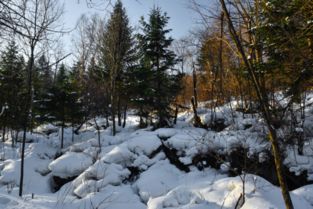 南京雪松国际旅行体验之旅：揭秘那些你不容错过的神秘之地