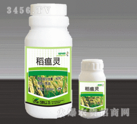 稻瘟病，那个让人头疼的病虫害