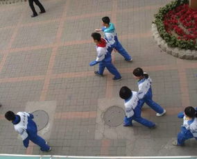 先说说得搞明白：操场可不是植物园！