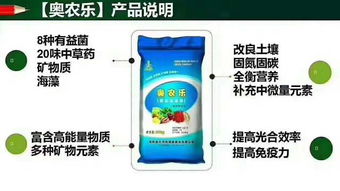 改良方案，你试过吗？