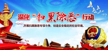 菊花花语传递团结合作精神，如何更好地体现人类社会共同价值观
