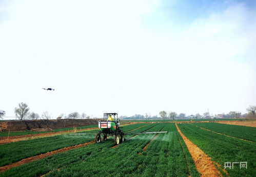 无人机喷洒农药， 农业新方式