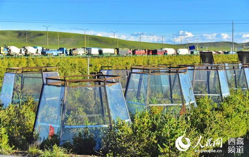 啥子地方这么高