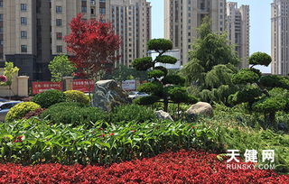 在大连Zuo园林绿化工作，有哪些长远的职业发展机会和前景？