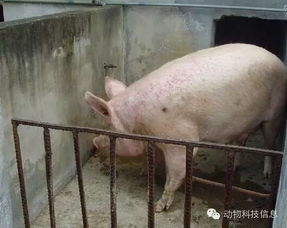 怎么处理这个情况呢？