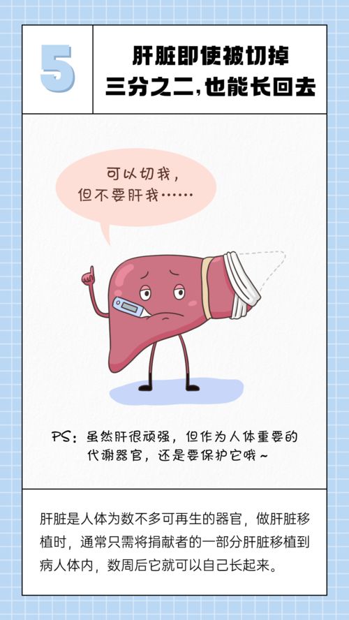 艾烟的“内幕”：燃烧的不仅仅是叶子