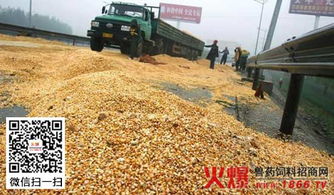 豆粕粉碎粒度对饲料营养成分利用率有何具体影响？