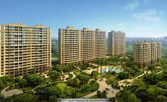 常见的名贵植物大揭秘