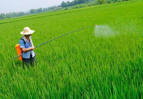 草地虫为何对某些农药“免疫”