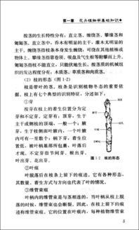 花卉学的学问：从分类到养护， 样样精通