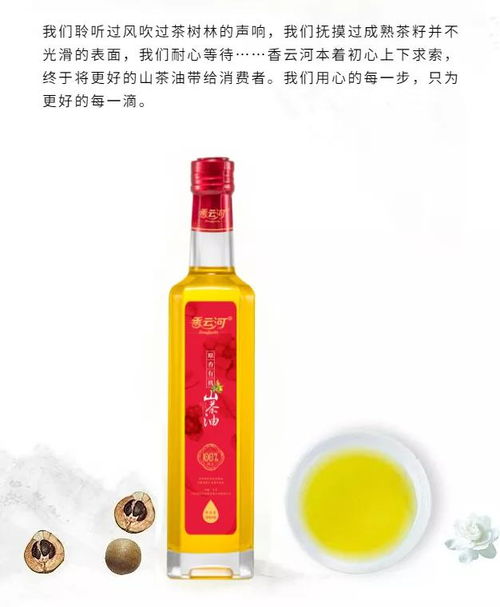 揭秘顶级山茶油：发现其独特魅力！