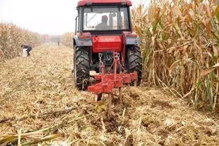 农业养殖五宝：饲料刀、防疫刀、技术刀、市场刀、环保刀